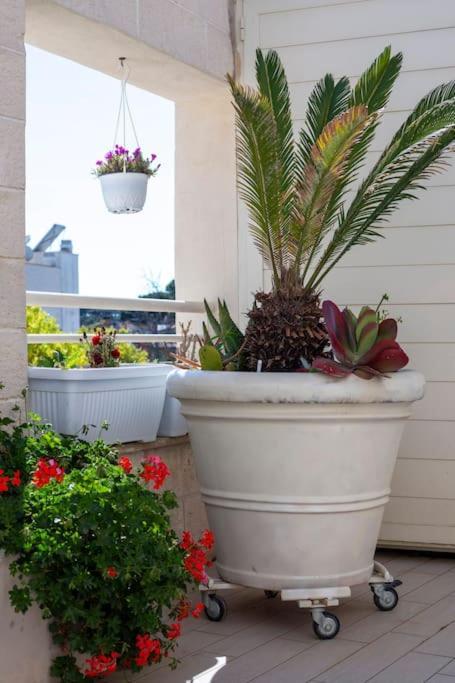 La Suite Sul Borgo Fregenae Exterior photo